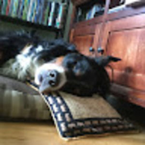 Meet your Posher, Soo.peacha